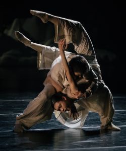 Preview de la fiche In Satie et The Rite Of Spring